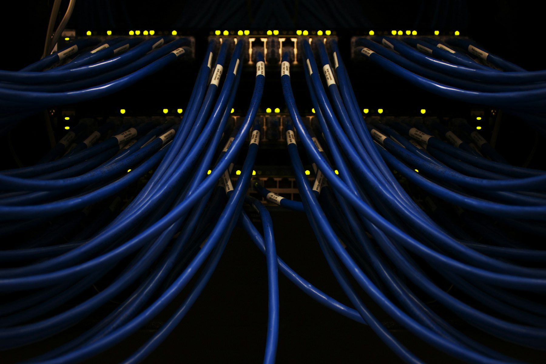 Bundle of blue network cables connected to a switch